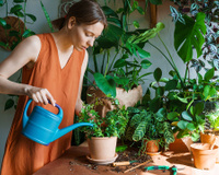 Como ter um jardim de capa de revista usando apenas ingredientes que você já tem