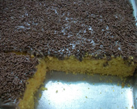 Bolo de cenoura com brigadeiro mole