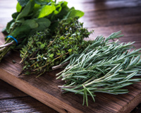 Como usar ervas frescas nos seus preparos: veja no TudoGostoso