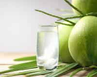 Sou nutricionista e garanto: água de coco tem propriedades incríveis, os filipinos a chamam de árvore da vida por um motivo