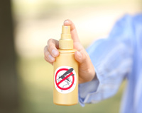 Chega de insetos! Com essas dicas caseiras os mosquitos e pernilongos vão passar longe da sua casa