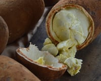 Cupuaçu é uma “joia da energia”: conheça os benefícios da fruta exótica que te enche de disposição