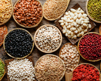 Do carioca ao azuki: todo feijão é igual? Nutricionista detalha diferenças no sabor e nos benefícios