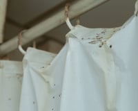Como remover facilmente o mofo da sua cortina de chuveiro e deixá-la com aparência de nova: TudoGostoso ensina a técnica simples