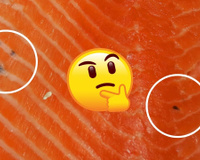 O que são essas manchinhas pretas no salmão? Posso comer ou faz mal? Descubra no TudoGostoso!