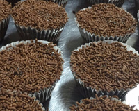 Cupcake de chocolate