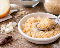 Como misturar cebola e bicarbonato de sódio para eliminar baratas em casa: uma combinação caseira eficaz