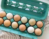 Essa é a grande diferença entre os ovos brancos e marrons