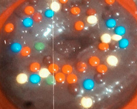 Bolo de chocolate de liquidificador