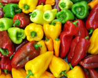 Existe pimentão macho ou fêmea? Entenda a polêmica sobre o formato do alimento e se há diferença no sabor