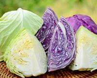 REPOLHO ROXO X REPOLHO BRANCO: quem vence o embate nutritivo? Descubra benefícios da hortaliça de abril!