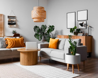 Nem alecrim, nem arruda: essas são as plantas que trazem prosperidade e proteção que você precisa ter na sua casa neste fim de ano