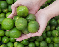 Aprendi um truque que deixa o limão fresquinho por semanas, sem murchar ou ressecar, nem perder o sabor