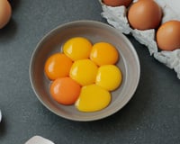 A cor da gema do ovo muda os benefícios do alimento? Descubra se o tom do amarelo faz diferença!