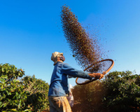 Tour do café: viaje por cinco estados do Brasil e conheça os diversos cultivos do grão