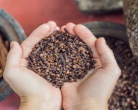 Carregar um cravo-da-índia embrulhado no pano: tradição, aroma ou superstição? Truque atravessa gerações