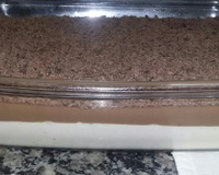 Mousse trufado de limão