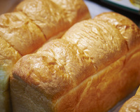 Essa foi a primeira receita de pão que eu fiz e deu certo: esse pãozinho de manteiga é tão gostoso que tudo é devorado antes da forma esfriar!