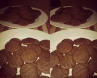 Biscoitos de chocolate