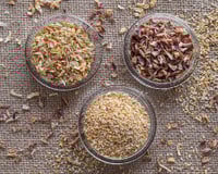 Quando descobri que dá para fazer alho e cebola em pó em casa sem aditivos, parei de comprar no mercado e comecei a juntar as cascas