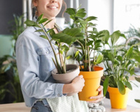 Com quantos anos você descobriu que ter essas plantas em casa vão melhorar o seu humor e diminuir sua ansiedade?