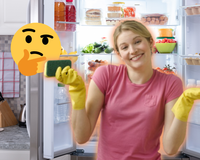 Superdica pra sua geladeira: coloque uma esponja com sal dentro do eletrodoméstico e veja a mágica acontecer