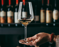 Adega no verão: 3 opções de adegas climatizadas para você ter em casa e saborear um delicioso vinho