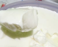 Iogurte de leite em pó