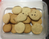 Biscoito delicioso de leite em pó