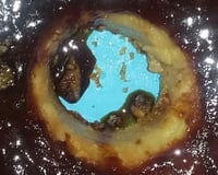 Bolo Luiz Felipe / Bolo mole