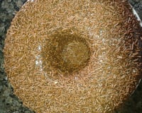 Bolo branco com calda de chocolate sem ovo