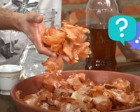 Por que as pessoas estão colocando casca de cebola nas plantas e para que serve o truque?