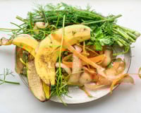 Esse fertilizante caseiro é chamado de “ouro verde” e não leva café nem casca de ovo