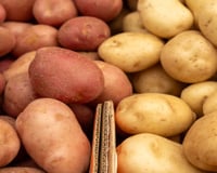 Não guarde batatas no saco plástico: este truque do TudoGostoso pode mantê-las boas por quase 2 meses
