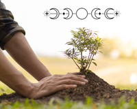 Aprendi com a minha avó e essa jardineira confirmou que a lua interfere no crescimento das plantas: "Quando a lua tá mais cheia, a tendência é que..."