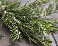 Nem chá, nem tempero: ferver alecrim é um truque de vó simples que transforma a sua casa e você nem imagina