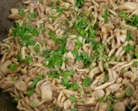 Shimeji na manteiga à brasileira