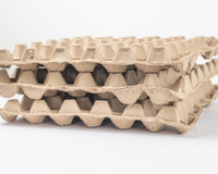 Muitos reaproveitam a embalagem de ovo, mas ela pode esconder um perigo que você nem imagina