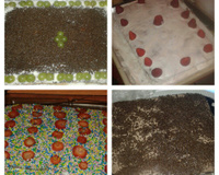 Bolo pudim de chocolate