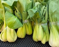 Para maiores de 60 anos: o vegetal recomendado, rico em cálcio e vitamina K