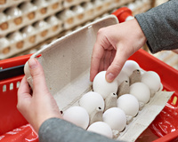 "Crise do ovo" nos EUA pode afetar o seu bolso: especialistas explicam como aumento de preço e até roubo de carga pode afetar o Brasil