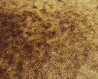 Queijadinha de assadeira