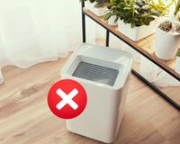 Não precisei mais usar o purificador de ar depois que descobri que uma única planta faz isso!