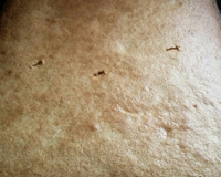 Bolo simples no liquidificador