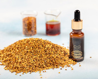 Própolis verde alcoólico é realmente o melhor? Entenda os diferentes tipos e usos