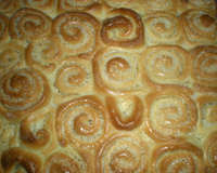 Caracóis de coco espetaculares