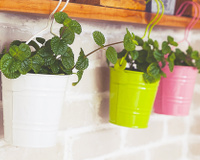 5 dicas simples de decoração para a cozinha