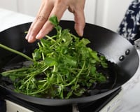 Número 1 no mundo! Esse vegetal abundante no Brasil conquista o campeonato de "combate ao câncer" com a pontuação máxima de 100