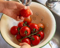 5 segredos simples para manter os tomates frescos como no dia da colheita