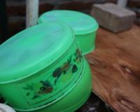 Poucos sabem, mas sou técnico em alimentos e garanto: "Usar tupperware em mau estado de conservação é perigoso. É essencial saber como identificar quando se livrar deles"
